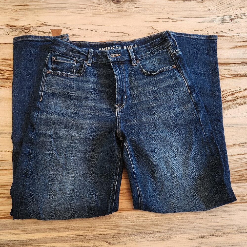 American Eagle Curvy Mom Jean 8 Long